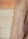 Cosmo Tissue Straight Suit Set with Handwork Buti & Dupatta