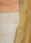 Cosmo Tissue Straight Suit Set with Handwork Buti & Dupatta