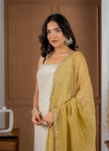 Cosmo Tissue Straight Suit Set with Handwork Buti & Dupatta